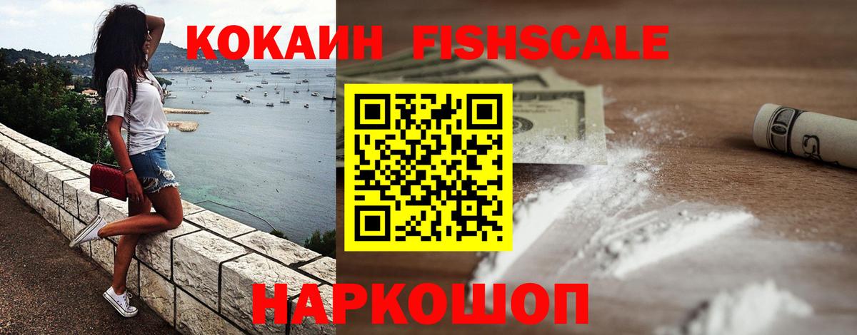 магазин продажи наркотиков  Кокаин 98%  COCAIN 99%  Вход с VPN  Камышлов 