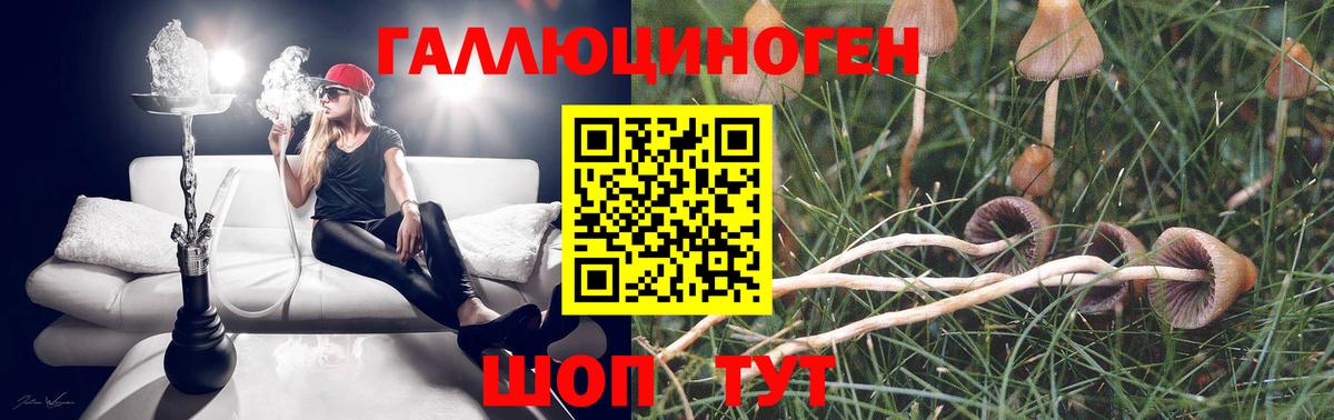 Галлюциногенные грибы ЛСД  Вход с VPN  Камышлов 